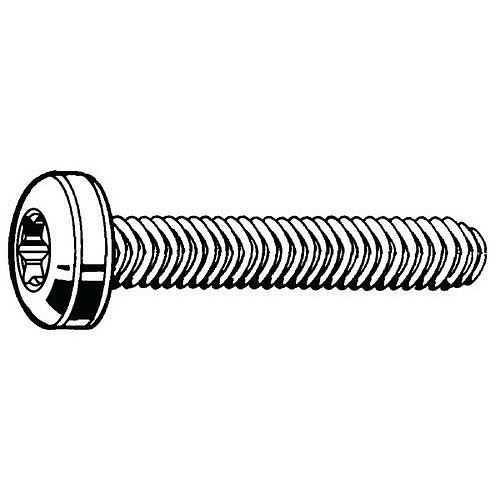 Závitotvorný šroub s válcovou vypouklou hlavou s T-hvězdicí Ocel Pravý Pozinkované M4X8