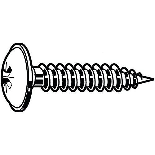 Šroub s křížovou drážkou pro zadní panely Pozidriv Ocel Pozinkované 4X40MM