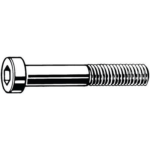 Šroub s nízkou hlavou s vnitřním šestihranem se zahloubením pro pilot DIN 6912 Nerezocel A2 Pravý M8X100
