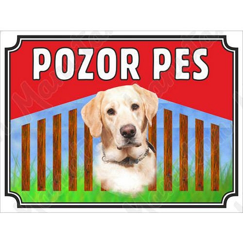 Pozor pes - Labrador, plast 210 x 148 x 0,5 mm A5