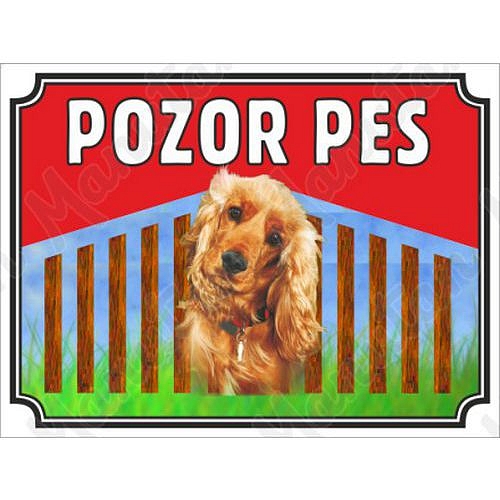 Pozor pes - Kokršpaněl, plast 210 x 148 x 0,5 mm A5