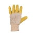 Bavlněné rukavice CXS polomáčené v latexu, žluté/bílé