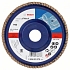 Bosch - Lamelový brusný kotouč X431, Standard for Metal 125 mm, 22,23 mm, 80, 10 BAL