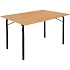 Skládací stůl Flexfurn Budget, 120 x 80 x 73 cm, buk