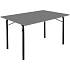 Skládací stůl Flexfurn Budget, 120 x 80 x 73 cm, antracit