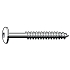Truss head woodscrew Nerezocel ST4,8X32MM