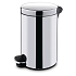 Kovový odpadkový koš Basic, objem 5 l, lesklý nerez