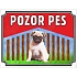 Pozor pes - Mops, plast 210 x 148 x 0,5 mm A5