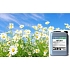 Cleamen 101/201 osvěžovač-neutralizátor pachů 5l, Sunny Meadow
